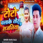 Toto Chalake Tora Sajniya