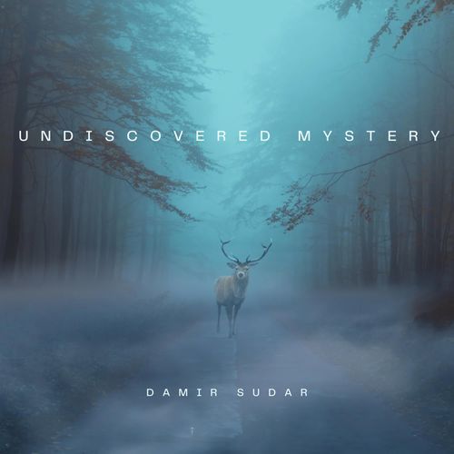 Random Touch cover art