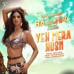 Yeh Mera Husn From Baaghi 4