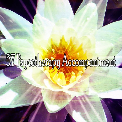 57 Psycotherapy Accompaniment