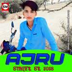 Ajru Singer SR 5058