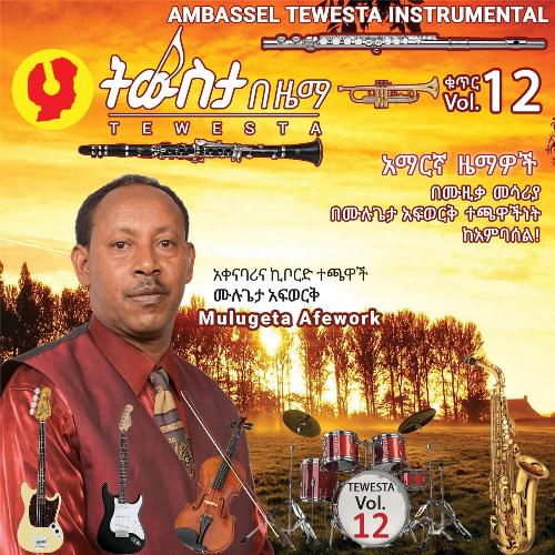 Yemetemetalegn Meche New