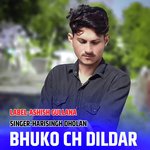 Bhuko Ch Dildar