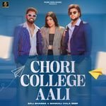 Chori College Aali