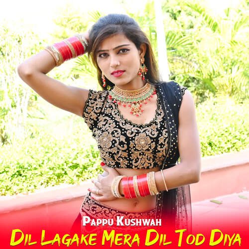 Dil Lagake Mera Dil Tod Diya
