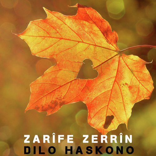 Dez cover art