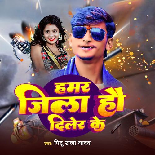 Hamar Jila Hau Diler Ke