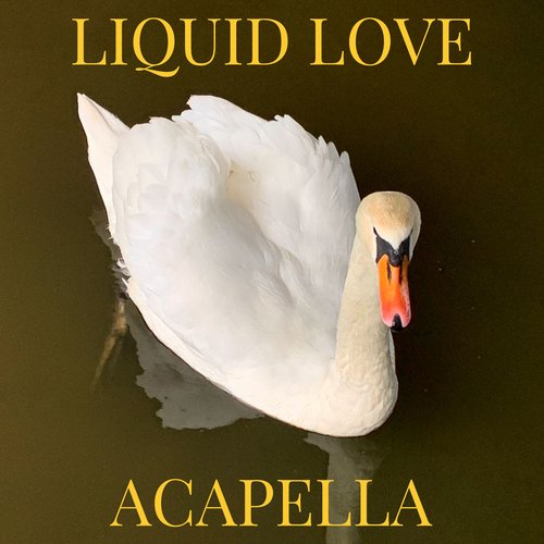 Liquid Love (Acapella)_poster_image