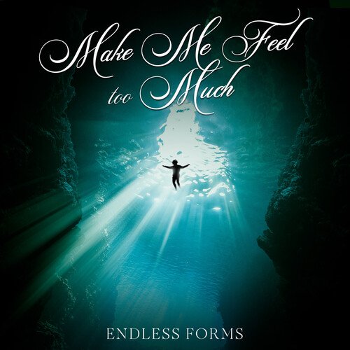 Make Me Feel Too Much_poster_image