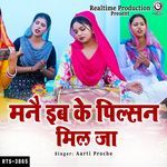 Mane Ib Ke Pilsan Mil Ja