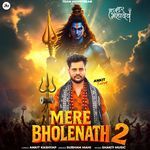 Mere Bholenath 2
