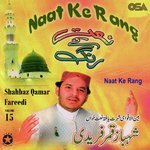 Naat Ke Rang, Vol. 15