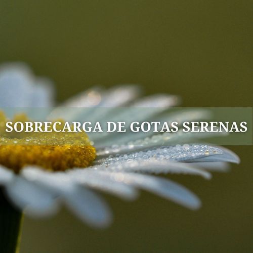 Sobrecarga De Gotas Serenas