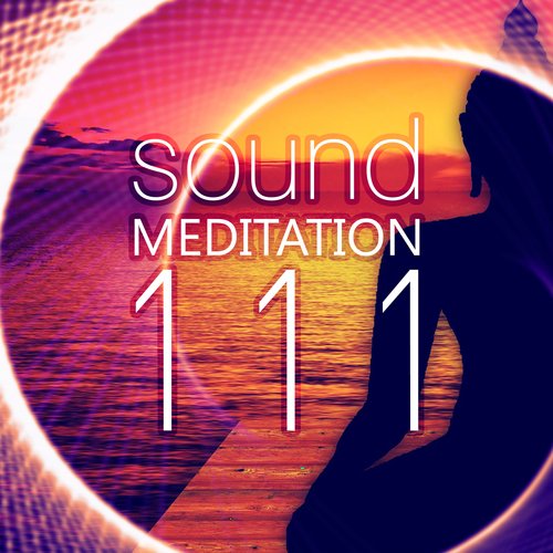 Mindfullness Meditation cover art
