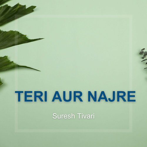 Teri Aur Najre