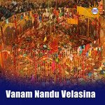 Vanam Nandu Velasina