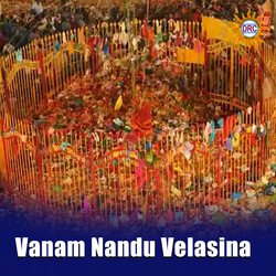 Vanam Nandu Velasina-QRojZyRUVGw