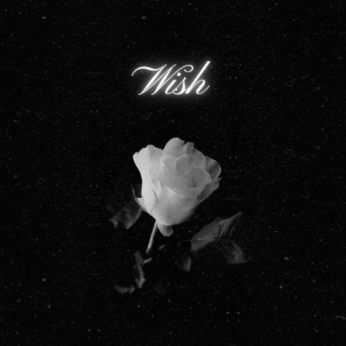 Wish (Remix) cover art