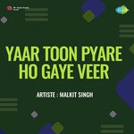 Yaar Toon Pyare Ho Gaye Veer
