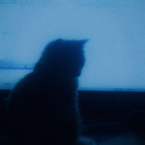 until i lost you (slowed)