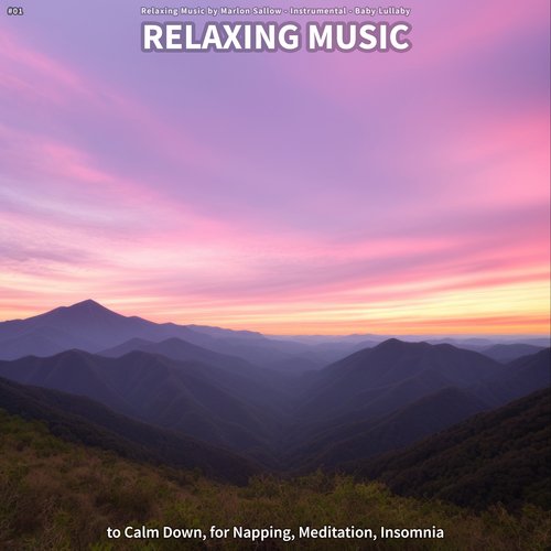 Natural Sleep Aid cover art