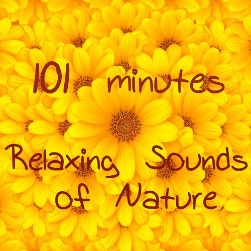 101 Minutes Relaxing Nature Sounds Music for Sleeping, Relaxation, Mindfulness Meditation, Reiki, Autogenic Training & Yoga Savasana (Bonus Track Relax Song)_poster_image