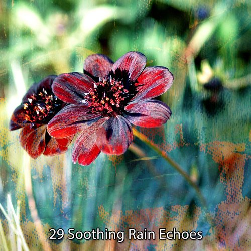 29 Soothing Rain Echoes_poster_image