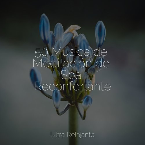 50 Música de Meditación de Spa Reconfortante