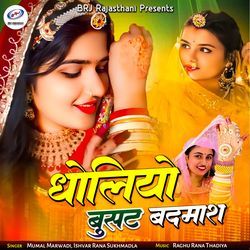 Dholiyo Busat Badmash