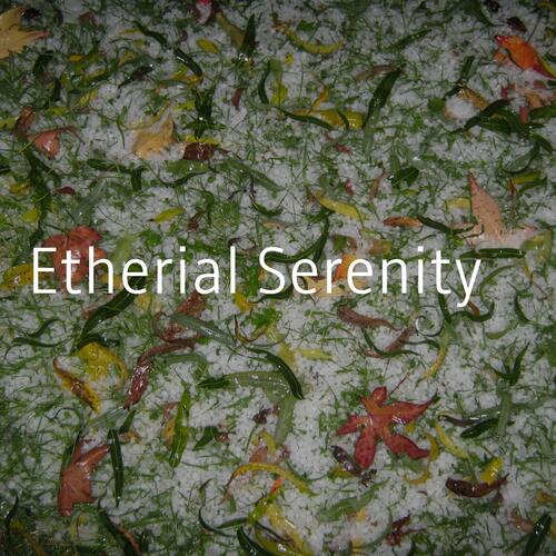 Mystic Serenity cover art