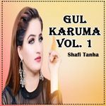 Gul Karuma, Vol. 1