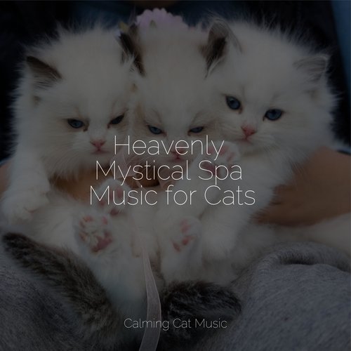 Bath Music