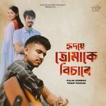 Hridoye Tomake Bisare