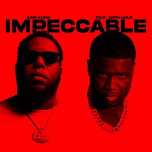 IMPECCABLE (feat. Enphamus) cover art