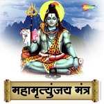 Mahamrityunjai Mantra