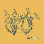 Major artwork