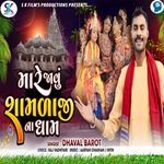 Mare Javu Shamlaji Na Dham