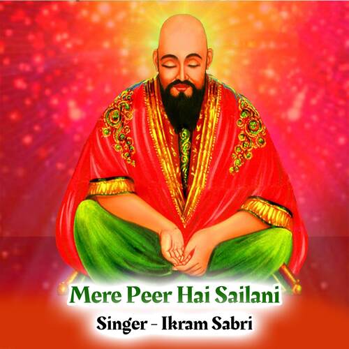 Mere Peer Hai Sailani