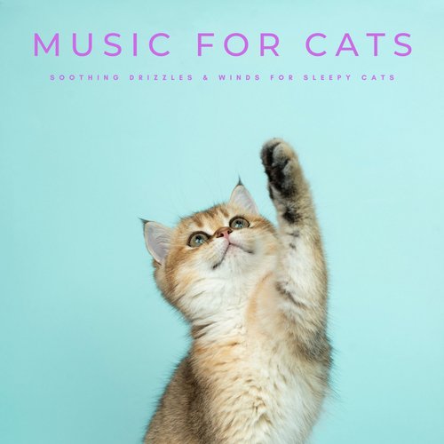 Sonidos De Tormentas cover art