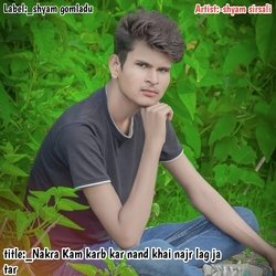 Nakra Kam karb kar nand  najr khai lag ja tar