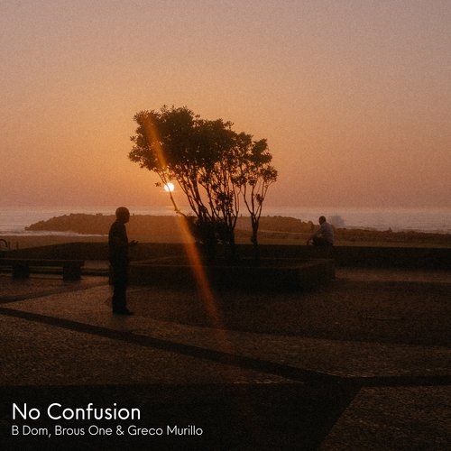 No Confusion_poster_image