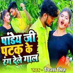 Pandey Ji Patak Ke Rang Dele Gal artwork