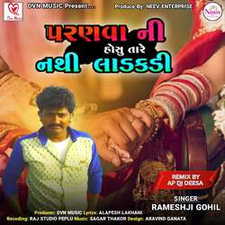 Parnavani Hosu Tare Nathi Ladakdi DJ Remix-GycGckJce30