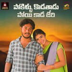 Pokillu Kodathadu Poyi Kaada Jeri