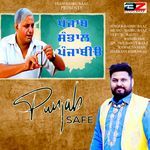 Punjab Safe