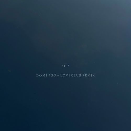 Shy (Domingo+ & Loveclub Remix)