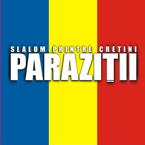 Slalom printre cretini_poster_image