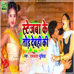 Stejba Ke Tod Debahi Ki