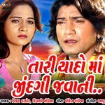 Tari Yaado Ma Jindgi Javani