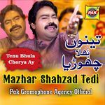 Tenu Bhula Chorya Ay